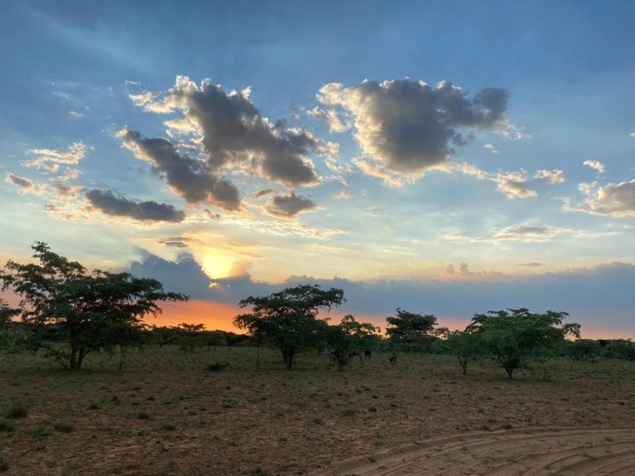 Kigeni Safari Lodge & Spa Ваалвотер Екстер'єр фото