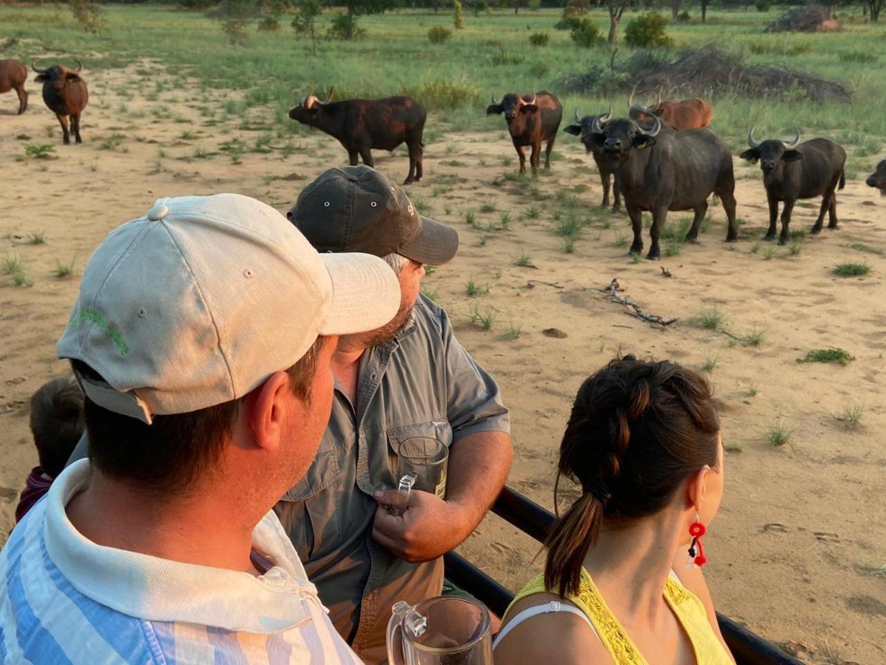 Kigeni Safari Lodge & Spa Ваалвотер Екстер'єр фото