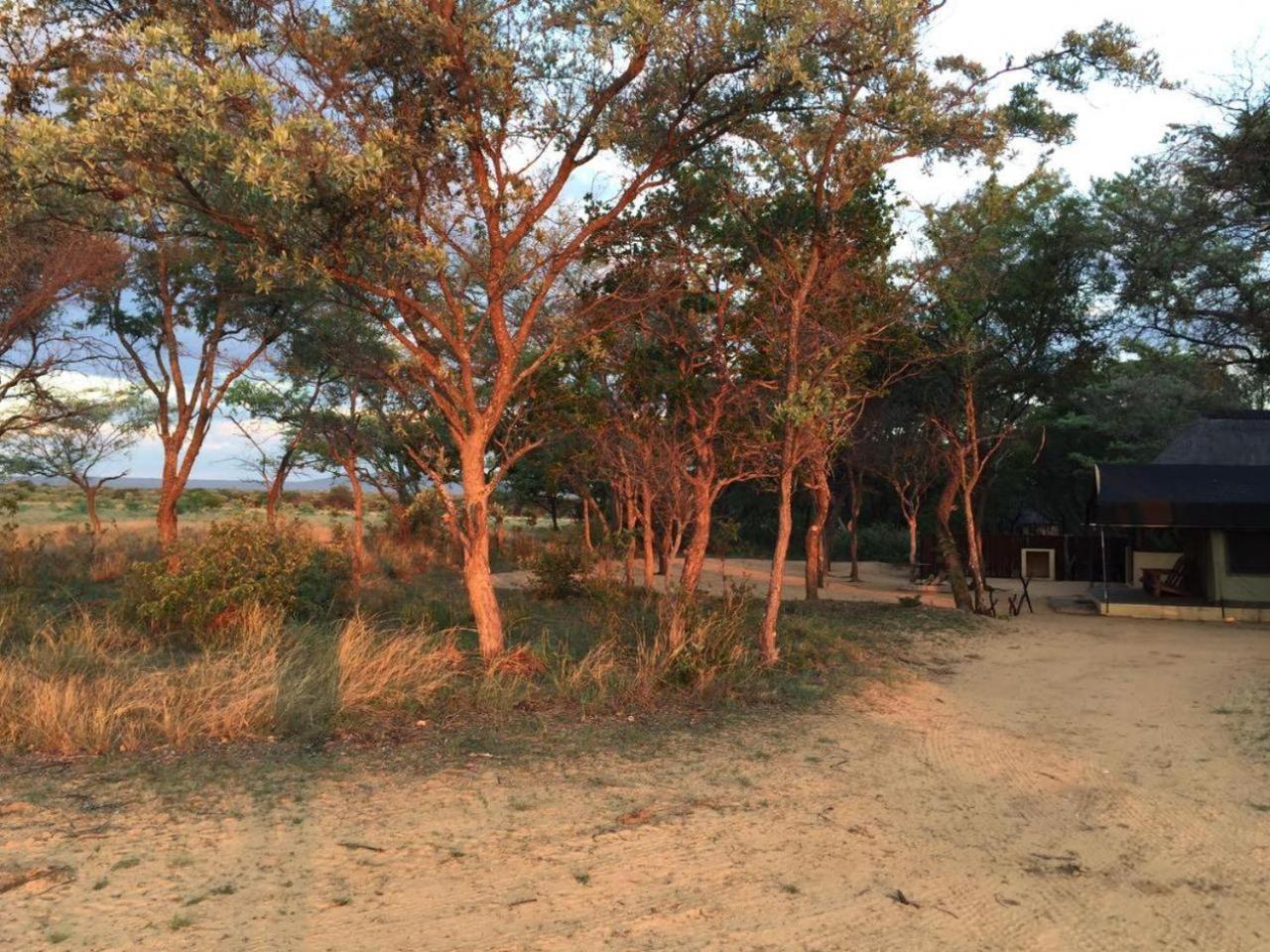 Kigeni Safari Lodge & Spa Ваалвотер Екстер'єр фото