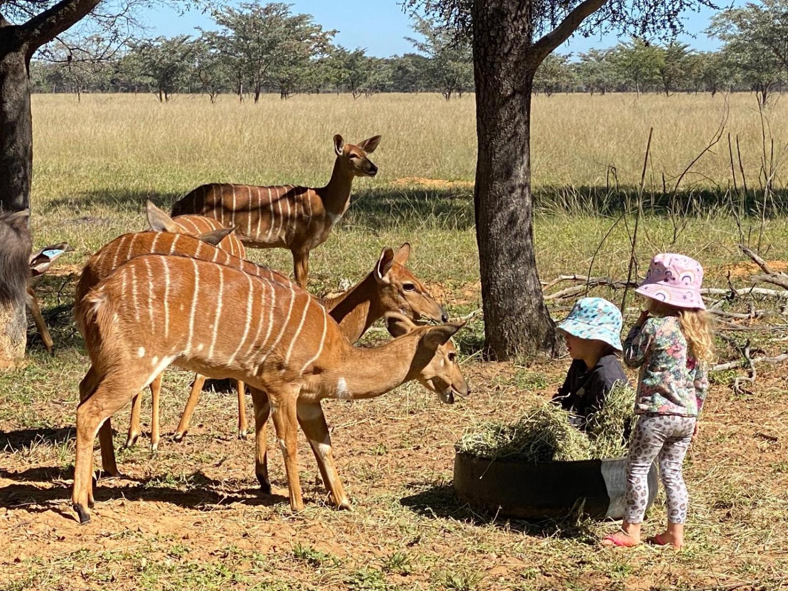 Kigeni Safari Lodge & Spa Ваалвотер Екстер'єр фото